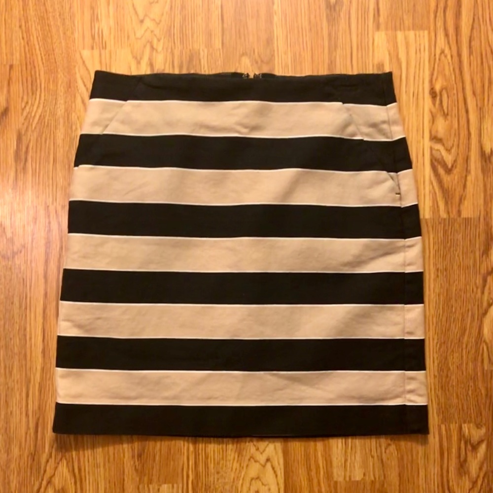 Black & Tan Striped Skirt